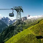 Hohe Tauern - Steinbock