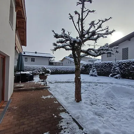 Hohe Tauern - Steinbock Willa